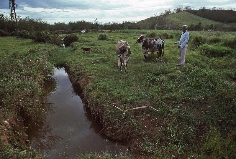 WT 0100 004-36 Fiji.jpg
